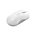 Lenovo 700 muis Kantoor Ambidextrous RF-draadloos + Bluetooth Optisch 4000 DPI