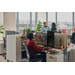 POLY Blackwire 3310 Monaural Microsoft Teams Certified USB-C Headset + USB-C/A adapter