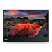 Lenovo ThinkVision M14t LED display 35,6 cm (14") 2240 x 1400 Pixels 2.2K Touchscreen Zwart