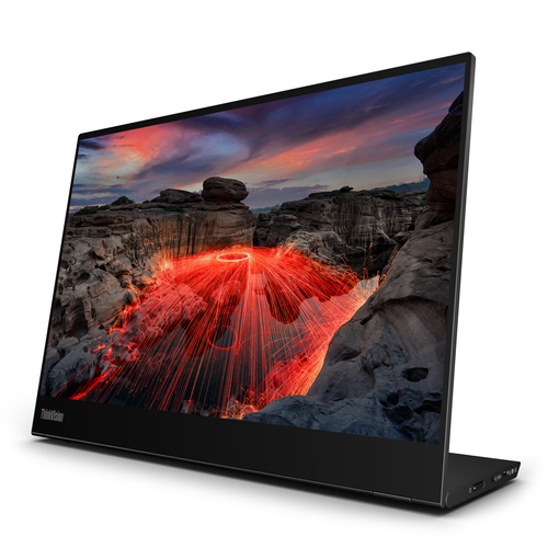 Lenovo ThinkVision M14t LED display 35,6 cm (14") 2240 x 1400 Pixels 2.2K Touchscreen Zwart