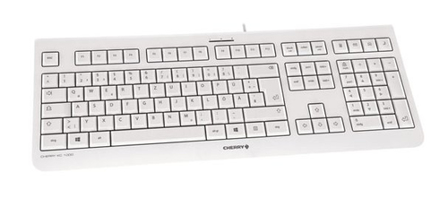 CHERRY KC 1000 toetsenbord Universeel USB Spaans Grijs