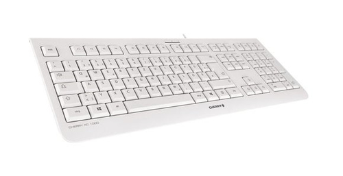 CHERRY KC 1000 toetsenbord Universeel USB Spaans Grijs