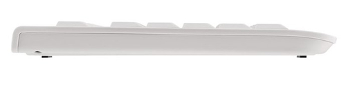 CHERRY KC 1000 toetsenbord Universeel USB Spaans Grijs