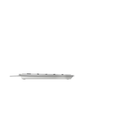 CHERRY KC 6000C FOR MAC toetsenbord Universeel USB QWERTY Engels Zilver