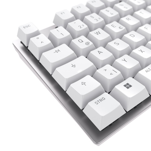 CHERRY KC 200 MX toetsenbord Universeel USB QWERTY Engels Zilver, Wit