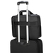 Targus Citygear 39,6 cm (15.6") Rugzak Zwart