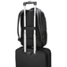 Targus Citygear 43,9 cm (17.3") Rugzak Zwart