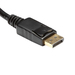 StarTech.com DisplayPort naar HDMI Video Adapter Converter