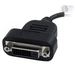 StarTech.com DisplayPort naar DVI Actieve Adapter