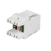 StarTech.com 180° Cat6 Contactbus RJ45 Ethernet Cat6 Wandcontactbus Wit Type 110