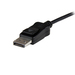 StarTech.com DisplayPort naar DVI dual link active video adapter / converter DP naar DVI-D 2560x1600