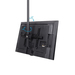 StarTech.com TV Plafondbeugel, Full-Motion Universele Ophangbeugel, Hangende VESA Beugel voor Single 32”-75" TVs / Displays, Kantelen/Zwenken, In hoogte verstelbare telescopische paal