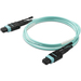 StarTech.com 1m MTP(F)/PC naar MTP(F)/PC OM3 Multimode Glasvezel Netwerkkabel, 12F Type-A, OFNP, 50/125µm LOMMF, 40G Netwerken, Low Insertion Loss, MPO Fiber Patch Kabel