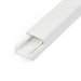 StarTech.com Stevige Zelfklevende Kabelgoot met Deksel, 19mm B x 11mm H 1m L, PVC Draadgoot / Muurlijst voor Netwerk- en Voedingskabels, Max 6 kabels, UL Listed