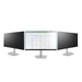StarTech.com Monitor Privacy Filter voor 19" PC Scherm - Privacy Film voor Computerscherm - Schermbeveiliger met +/- 30° Kijkhoek en Reductie Blauw Licht - 16:9 Widescreen - Mat/Glanzend