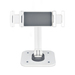 StarTech.com Verstelbare Tablet Houder voor Bureau, Wandmonteerbaar, Draagvermogen 1kg, Ergonomische Tablet Steun, Universele Tablet Standaard, Zwenken/Draaien/Roteren