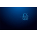 Kingston Technology IronKey 32GB Vault Privacy 50 AES-256 versleuteling, FIPS 197