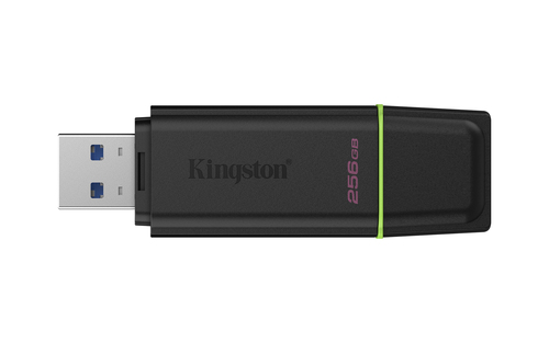 Kingston Technology DataTraveler 256GB Portable USB 3.2 Gen 1 Exodia Black/Green