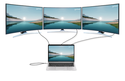 Manhattan USB-C dock/hub met kaartlezer, poorten (10): 3,5 mm audio, DisplayPort, Ethernet, HDMI (2×), USB-A (3×) en USB-C (2×), met PD 100W -vereist een externe USB-C-lader (niet inbegrepen). USB-gevoed (geen externe voeding vereist) wanneer PD niet wordt gebruikt