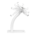 Manhattan Kioskstandaard voor tablet en iPad (voor bureau), anti-diefstal, universeel 7,9"–11", 360° rotatie, kantelbaar +20° tot -110°, uitschuifklemmen 200–246 mm hoog / 129–181 mm breed, vergrendelbaar, wit