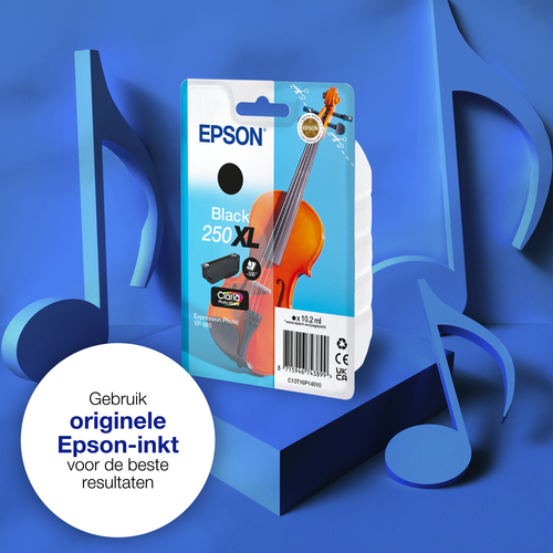 Epson Singlepack, zwarte 250XL Viool Claria Photo HD-inkt