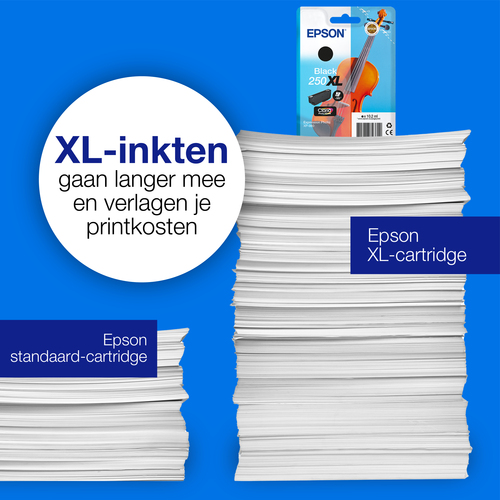 Epson Singlepack, zwarte 250XL Viool Claria Photo HD-inkt