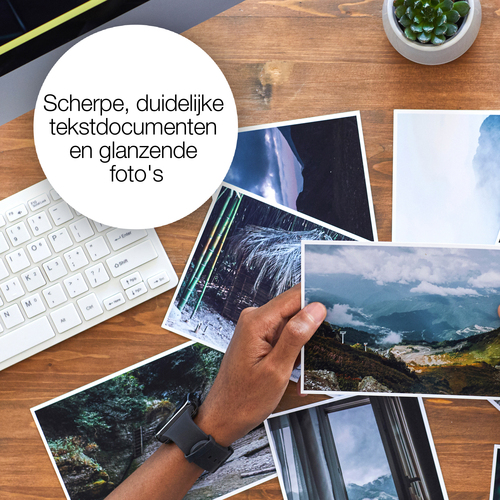 Epson Singlepack, lichtcyaan 250XL Viool Claria Photo HD-inkt