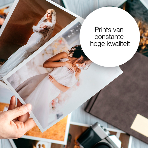 Epson Singlepack, lichtmagenta 250XL Viool Claria Photo HD-inkt