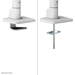 Neomounts DS70S-950WH1 Monitorarm 17-49" - gasveer - Topfix - 180°-stop