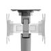 Neomounts DS70-250SL1 Monitorarm 17-35" - gasveer - Topfix - 180°-stop