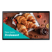 Samsung 24" Small Signage QBC