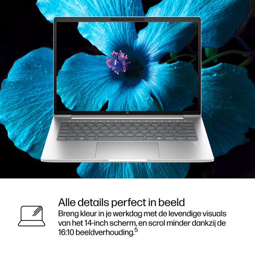 HP ProBook 4 G1iR Intel Core 5 120U Laptop 35,6 cm (14") WUXGA 16 GB DDR5-SDRAM 512 GB SSD Wi-Fi 6E (802.11ax) Windows 11 Pro Zilver QWERTY