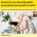 HP 62 originele zwarte inktcartridge