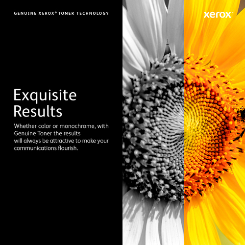 Xerox Phaser 6600/WorkCentre 6605 Tonercartridge met hoge capaciteit, cyaan (6.000 pagina's)
