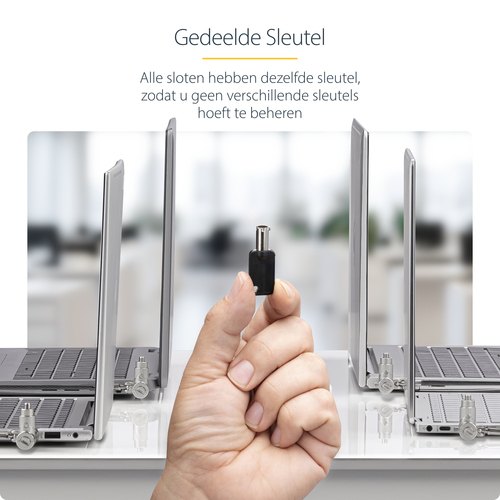 StarTech.com 25-Pack Universeel Laptop Kabelslot 2m, Security Kabel met Gedeelde Sleutel, Compatibel met Noble Wedge&reg;/Nano/K-Slot, Antidiefstal Snijbestendige Kabel