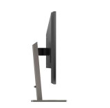 Philips P Line 439P1/00 computer monitor 108 cm (42.5") 3840 x 2160 Pixels 4K Ultra HD LCD Zwart