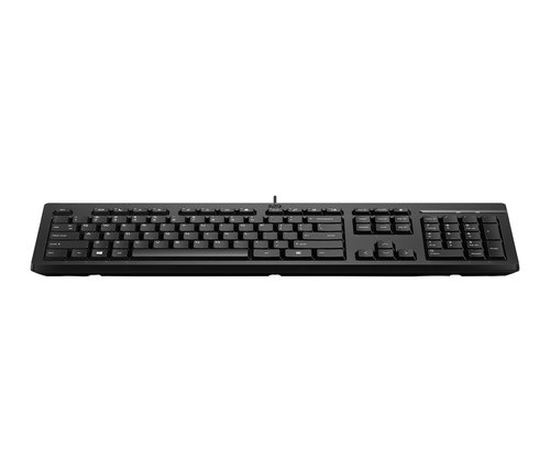 HP 125 toetsenbord met kabel