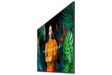 Samsung 50" Crystal UHD Signage QBC