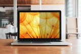 3M BPNDE005 schermfilter 33 cm (13") Laptop Randloze privacyfilter voor schermen