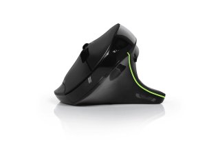MOUSE ERGON RECHARG BLUETOOTH R HANDED
