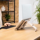 R-Go Tools Laptop- en tabletstandaard R-Go Treepod, ergonomisch en modulair, verstelbaar, biobased