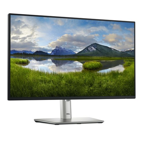 DELL Pro Plus P2425H computer monitor 60,5 cm (23.8") 1920 x 1080 Pixels Full HD LCD Zwart