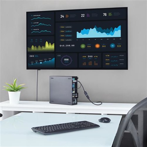StarTech.com HDMI naar DisplayPort adapter 4K 30Hz