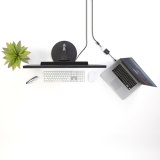 StarTech.com Mini DisplayPort naar DVI Video Adapter Converter