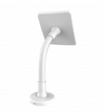 Compulocks Flex Arm veiligheidsbehuizing voor tablets 30,5 cm (12") Wit
