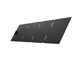 EcoFlow 60W Solar Panel (typeC)