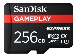 Express microSD 256GB GamePlay 880MB/s