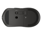 HP 405 Quiet Wireless Mouse