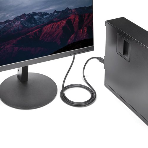StarTech.com 1,80 m DisplayPort naar DVI Video Converter Kabel M/M
