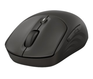 HP 405 Quiet Wireless Mouse